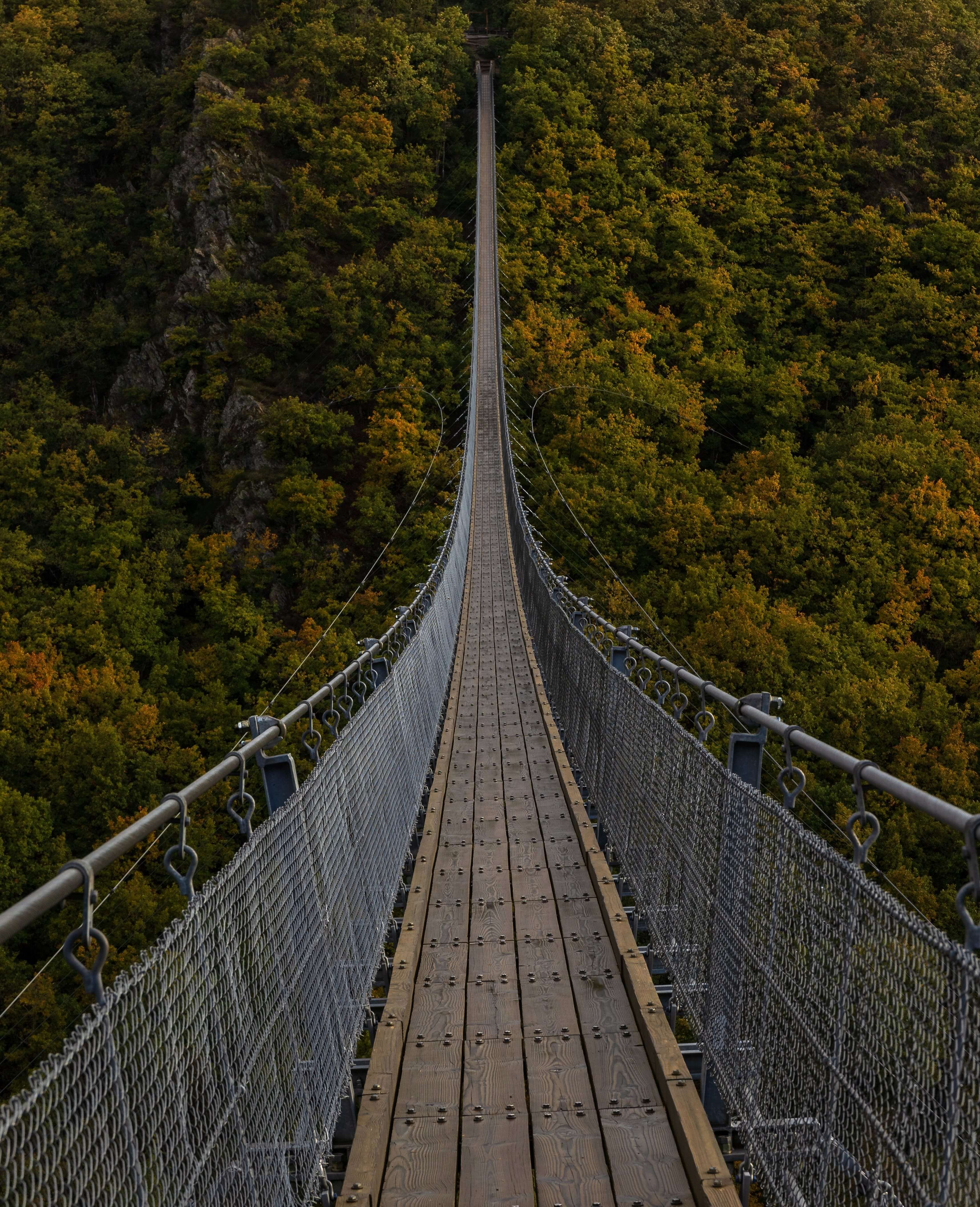 A ver long bridge
